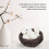 Naturharz 1:12 Nest mit Eiern, 3,3  1,2 cm 4