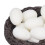 Naturharz 1:12 Nest mit Eiern, 3,3  1,2 cm 11