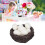 Naturharz 1:12 Nest mit Eiern, 3,3  1,2 cm 14