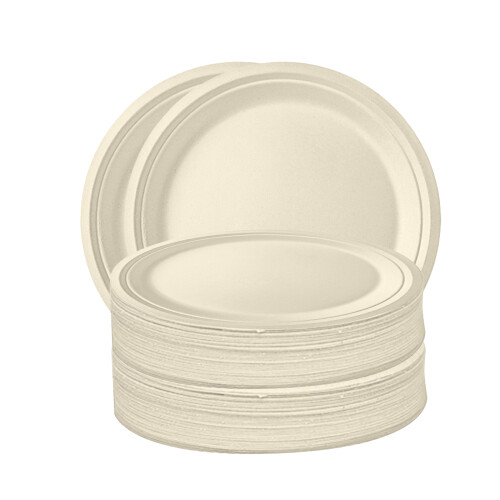 50 Stück 10-Zoll beige Bagasse-Teller Typ 4 2