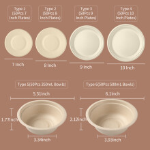 50 Stück 10-Zoll beige Bagasse-Teller Typ 4