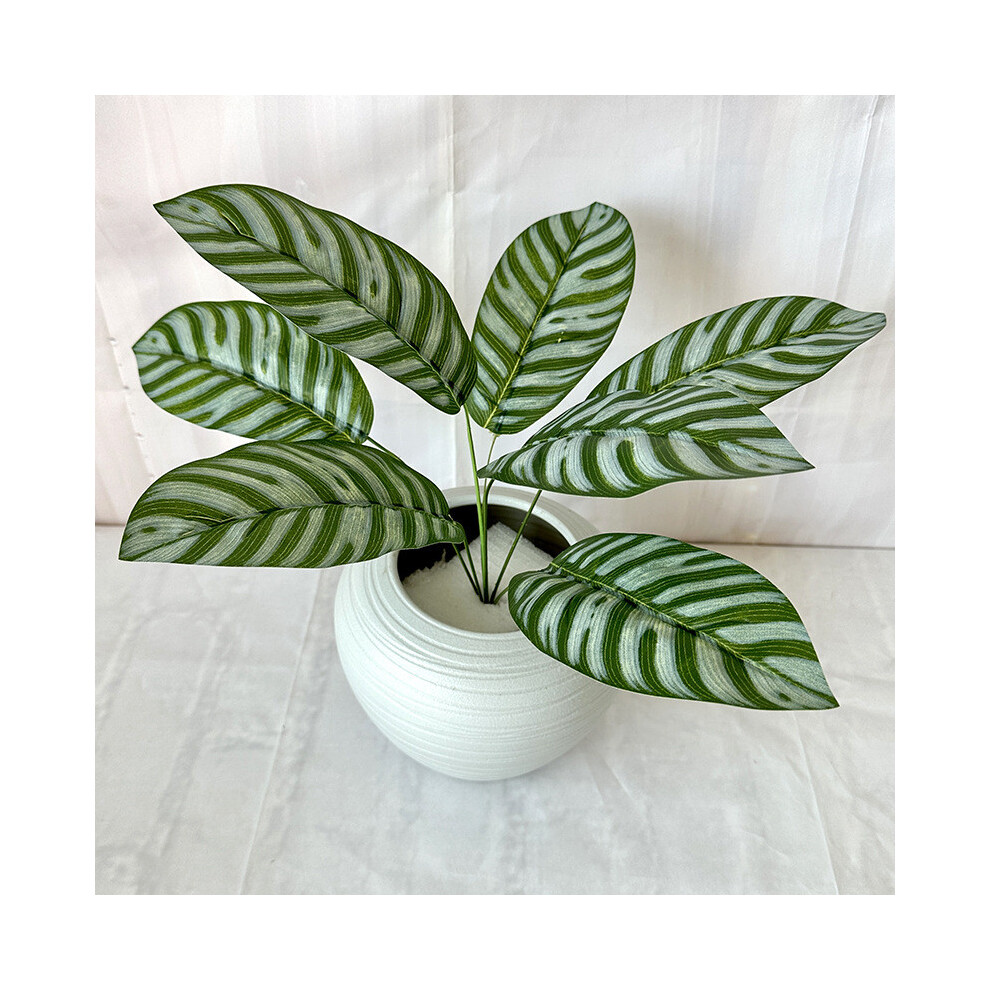 (Zebra Leaf)Epipremnum Aureum Monstera Deliciosa fausse plante en pot pour décoration murale intérieure
