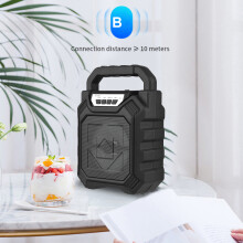 Tragbarer Bluetooth-Karaoke-Lautsprecher 4-Zoll-Horn 1200 mAh Schwarz