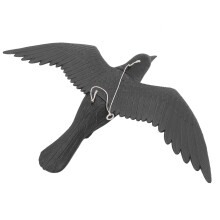 Krähen-Lockvogel, schwarz, 39,5 x 8 cm, 252 g