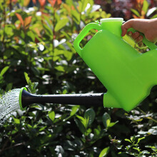 Regadera de plástico verde con boquilla larga de 3 L con tapa