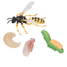 Kit educativo de plástico del modelo del ciclo de crecimiento de avispas y abejas