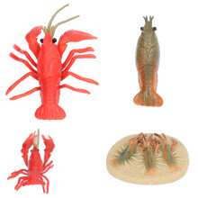 Lebenszyklusmodell des Flusskrebses - Plastikfiguren