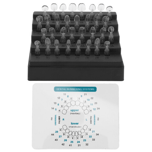32 Stück Veneers-Gussformen-Set - 2 Größen, Harz 1
