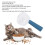 Futterschaufel, langer Griff, BPA-frei, ABS 12