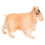 Figurita de Cocker Spaniel PL127-1543 plástico amarillo 2