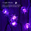 Typ 2 6m/19.68ft Lila Spinne 40LEDs Lichter 6