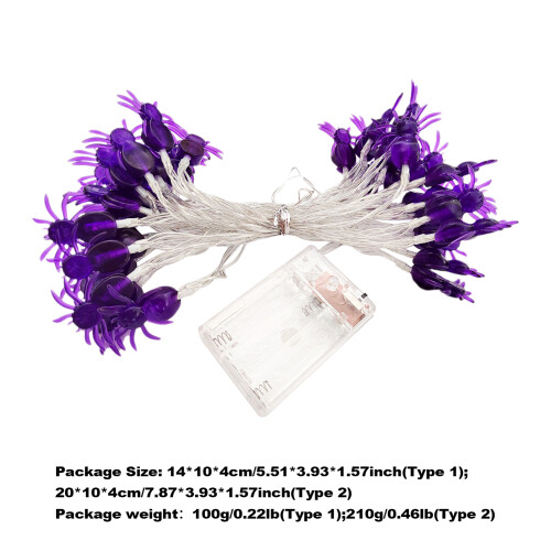 Typ 2 6m/19.68ft Lila Spinne 40LEDs Lichter 1