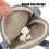 Pentagramm-Seestern Katzen-Weste L 3,5-7,5 kg Blau 4