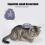Pentagramm-Seestern Katzen-Weste L 3,5-7,5 kg Blau 7