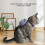 Pentagramm-Seestern Katzen-Weste L 3,5-7,5 kg Blau 9