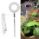 Vollspektrum-Wachstumsleuchte 5W USB Silber, 63,5 cm 1