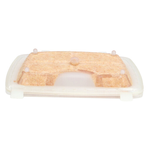 Kettensäge Luftfilter 3er-Pack für MS171 MS181 Hochwertige Ersatzfilter 2
