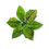 Stoffblumen, 22 cm, Weihnachtsornament-Farbe 1