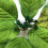 Stoffblumen, 22 cm, Weihnachtsornament-Farbe 3