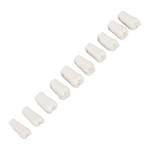 28 piezas removibles de dientes - kit de Typodont de plástico 2