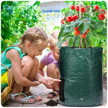 Bolsa de cultivo verde oscuro 3 galones 25x22cm PE