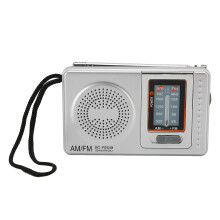 Radio DSP AM FM 9.5x6x2.2cm Plateado Gris 2xAA