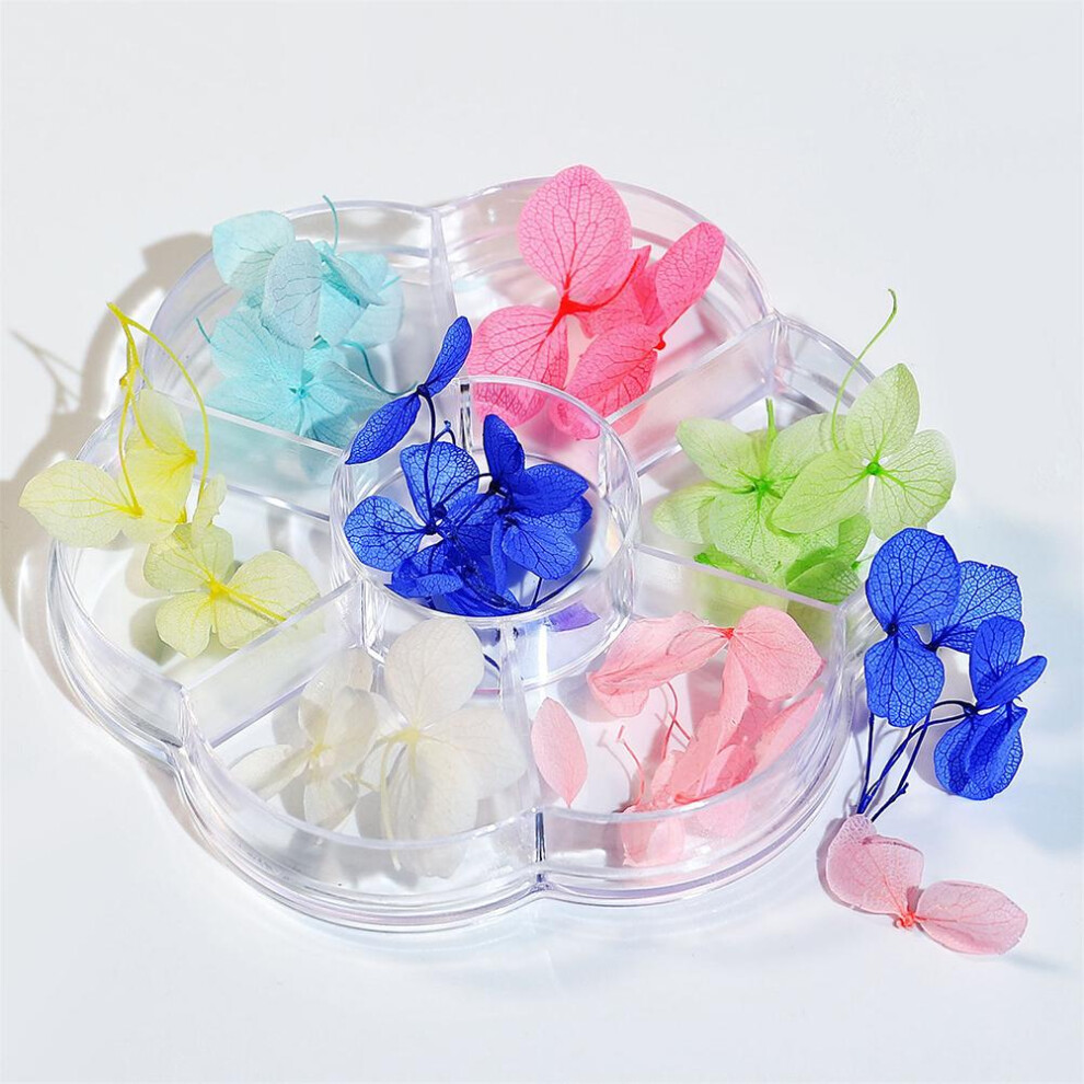 1 Box Dried Flower 6 Grids Nails Decoration DIY Nails Art False Flowers for Women Manicure DIY Nail Decorations 01