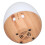 Modell 250 ml USB-Diffuser 5V 5W Automatische Abschaltfunktion Holz 1