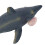 Helicoprion Hai Modell 19,3 x 7,5 x 7,3 cm 5