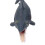 Helicoprion Hai Modell 19,3 x 7,5 x 7,3 cm 4