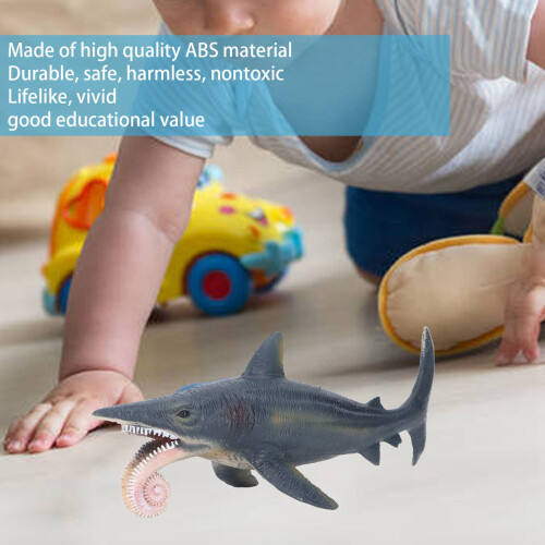 Helicoprion Hai Modell 19,3 x 7,5 x 7,3 cm 2