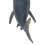 Helicoprion Hai Modell 19,3 x 7,5 x 7,3 cm 12