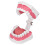 Kit de cepillos para práctica dental con modelo de dientes de PVC 16