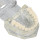 Modelo dental transparente para enseñanza 4