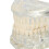 Modelo dental transparente para enseñanza 3