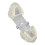 Modelo dental transparente para enseñanza 12