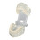 Modelo dental transparente para enseñanza 9