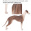 Modelo realista de galgo de plástico 20x13 cm 3+ 12