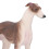 Modelo realista de galgo de plástico 20x13 cm 3+ 3