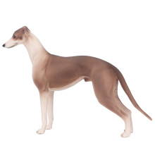 Modelo realista de galgo de plástico 20x13 cm 3+