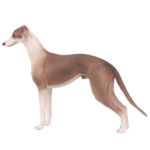 Modelo realista de galgo de plástico 20x13 cm 3+