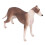Modelo realista de galgo de plástico 20x13 cm 3+ 9