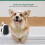 Panda-Form Hundebadebürste ABS-TPR ergonomisch 8