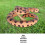 Falso serpiente de cascabel 10.5x6 cm serpiente de plástico colorida 10