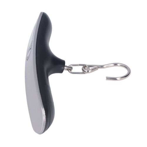 Modell: 50 kg Hakenwaage, Silber, ABS+Edelstahl 2