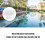 SP1091WM Cesta de skimmer, 16x9,7x7,5 cm plástico 7