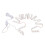 Luce LED per specchio da trucco, con 14 stringhe, 42 pezzi, 4000-5000K 6
