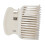 12er Pack Hot-Roller-Clips, weiß, 5,2  6,5  3,7 cm 1