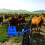 Pferd Weide-Maulkorb Nylon S/M/L Blau/Rot/Schwarz 3