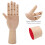 Modelo de mano de madera Schima superba, 30.0 cm, natural 11